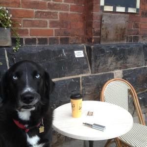 Meet your Posher, Stephan